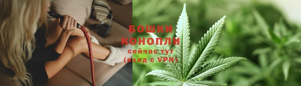 PSILOCYBIN Армянск