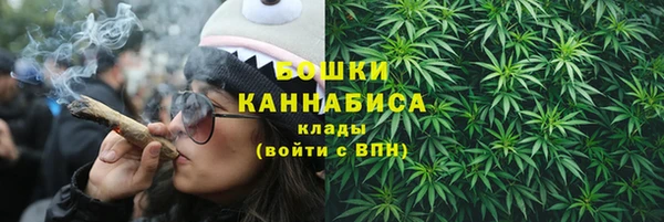 PSILOCYBIN Армянск